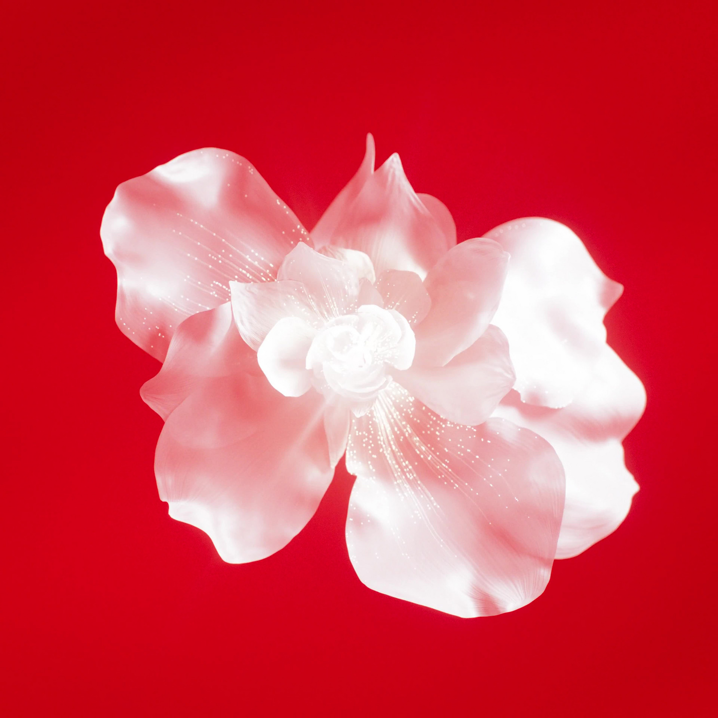 Lancome