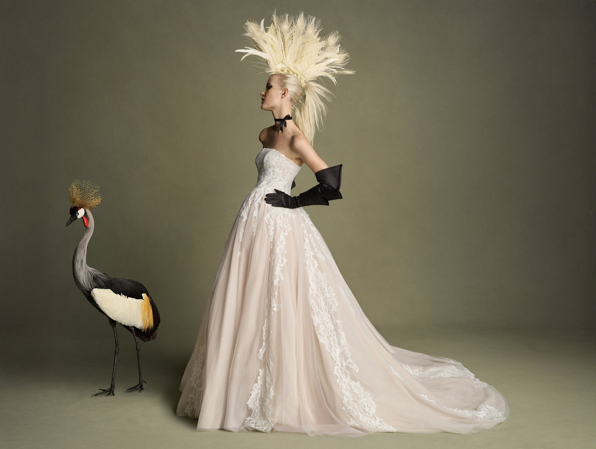Cerutti + Co - Photographers - Walter Chin